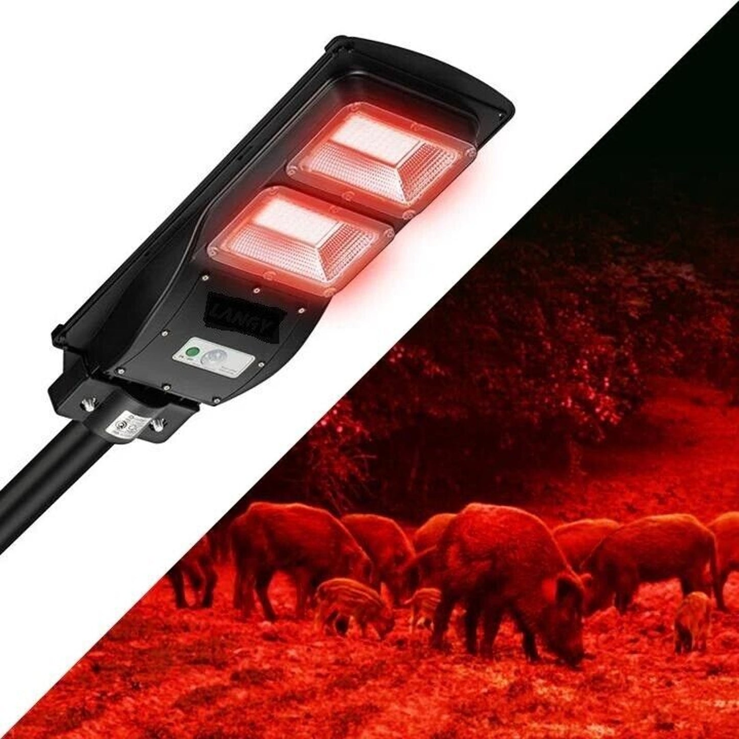 Hog Hunting Light RED Solar Light for Hunting Hogs on Feeders